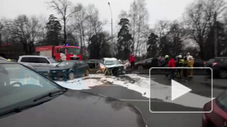 Видео: водитель Audi столкнулся с 12 машинами на Выборгском шоссе 