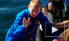 Путин спустился на дно Финского залива к фрегату "Олег"