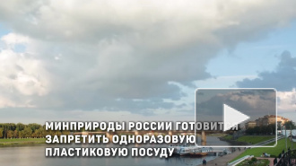 Дмитрий Кобылкин: Минприроды РФ готовится запретить одноразовую пластиковую посуду