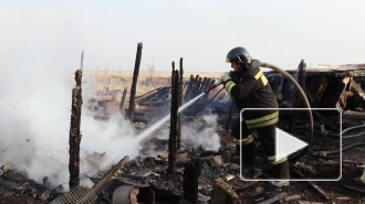 Видео из Благовещенска: ребенок поджег дом