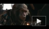 Вышел финальный трейлер фильма "Планета обезьян: Новое царство"