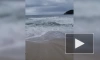 Бывший тайфун "Лупит" подтопил пляжи на юго-востоке Приморья