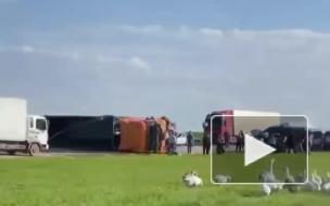 В ДТП с автобусом под Ставрополем погибли шесть детей