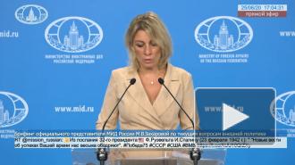 Захарова напомнила голосующим про "аттракцион фантастической жадности"