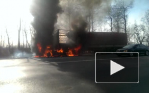 Появилось видео с горящей фурой на Московском шоссе