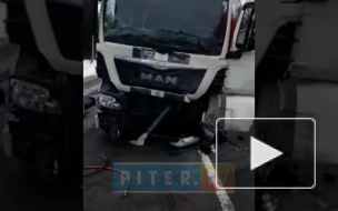 Видео: в Ленобласти три человека погибли в ДТП с грузовиком 