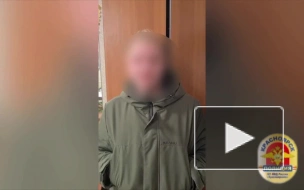 Красноярец ножом ударил стаффордширского терьера, а после усыпил пса в клинике