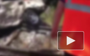 На Кубани двое погибли в машине при столкновении с поездом 