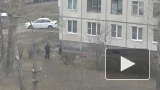 На улице Подвойского человек выпал из окна, тело охранял полицейский