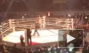 Видео: Шлеменко за 25 секунд нокаутировал в реванше американца Хэлси