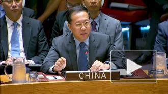 В МИД Китая отметили важность права вето в СБ ООН
