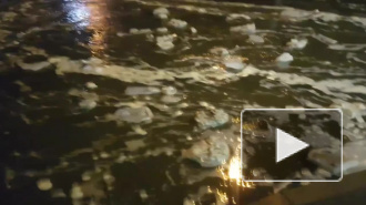 Улицы Сестрорецка затопила вода