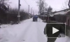 Видео погони: похититель сосен пытается скрыться от силовиков