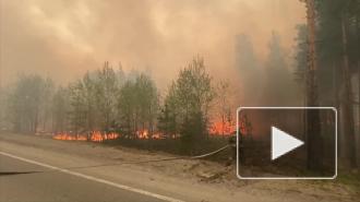 В Тюменской области из-за угрозы лесного пожара эвакуировали санатории