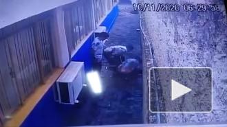 Побег через подкоп из тюрьмы в Бразилии попал на видео