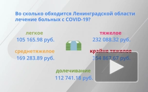 Стало известно, сколько стоит лечение больного коронавирусом в Ленобласти