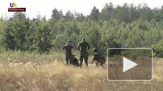 На Украину вернутся канадские военные инструкторы