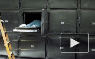 Петербуржца задержали за надругательство над трупом в морге