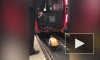 Момент спасения человека из-под поезда на станции метро в Москве попал на видео