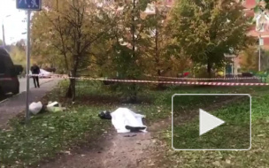 Следком опубликовал видео с места убийства следователя по особо важным делам Евгении Шишкиной