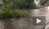 Четыре жителя Псковской области пострадали из-за урагана