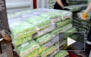 На Балтийской таможне задержали 16 тонн ткани с котятами