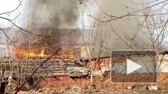 В Красном Селе сгорели несколько гаражей