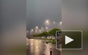 Интенсивность ливня 18 мая в Петербурге превысила норму в 2,5 раза