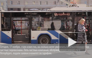 В Петербурге проезд в маршрутках может подорожать до 55 рублей