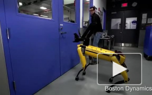 Возмутительное видео: В BostonDynamics "издеваются" над роботом - собакой