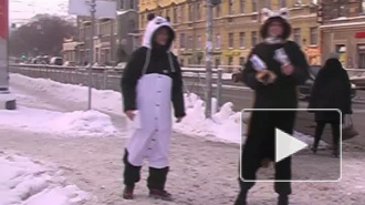 По мехам! Защитники  животных в лютый мороз  призвали отказаться от норки и кожи