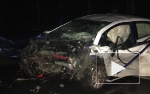 На автодороге "Россия" произошло смертельное лобовое ДТП