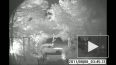 Камеры видеонаблюдения зафиксировали поджигателя машин в...