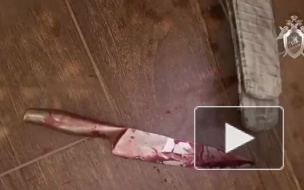 Появилось видео с места убийства жены экс-голкипера СКА