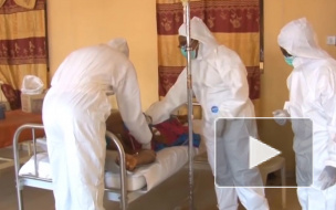 Роспотребнадзор предупредил туристов об опасной лихорадке Ласса в Нигерии
