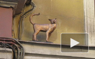Найден пропавший памятник блокадной кошке Василисе