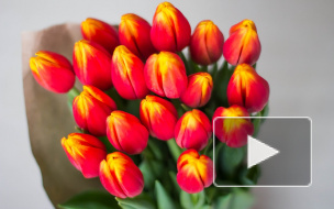 Прикольные поздравления в стихах и прозе на 8 Марта