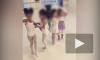 Натурализованный зенитовец прокомментировал расизм в петербургской балетной школе