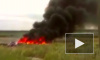 Нидерланды собирались отправить войска в Донбасс после крушения MH17