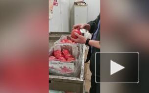 За полгода в Петербург привезли более 7 тысяч тонн гранатов