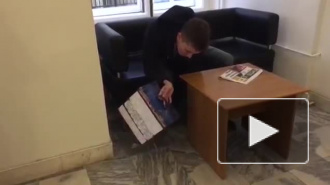 Видео: оппозиционер распустил крыс в ЗакСе Петербурга