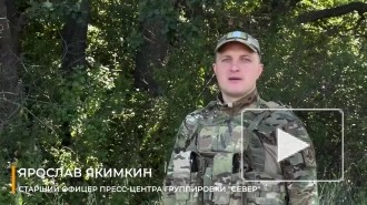 Минобороны: российские войска нанесли поражение живой силе и технике семи бригад ВСУ