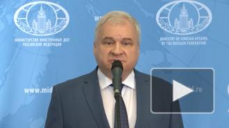 Посол РФ в Китае заявил, что визит Путина в КНР планируется в 2020 году