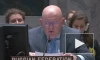 Небензя: РФ разочарована отсутствием должной реакции ООН на гибель оператора НТВ