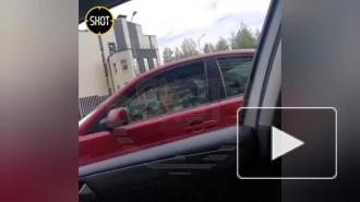 В Петербурге оштрафовали женщину, которая управляла авто с ребёнком на коленях 