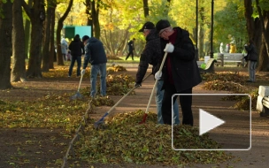 Комстрой Петербурга принял участие в городской акции "Добрый субботник"