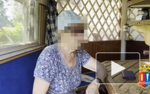 Двое рецидивистов ограбили пенсионерку в Иванове