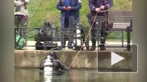 В Москве дайвер нашел на дне пруда два трупа