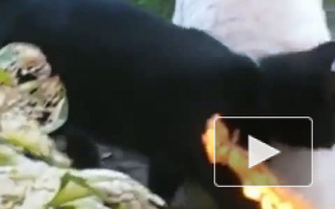 Массаж заказывали