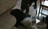 Оперативное видео: В Краснодаре ФСБ предотвратила теракт